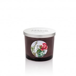 Pernici - Candela Camelia &...