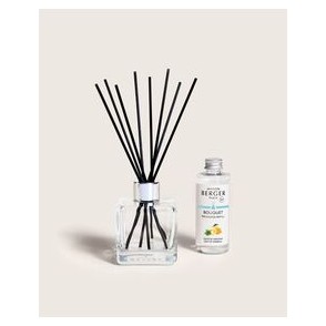 Maison Berger - Bouquet profumato Cubo Zeste de Verveine 100ml