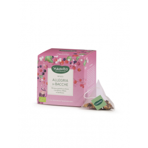 Neavita - Infuso Allegria di Bacche 15 FiltroScrigno